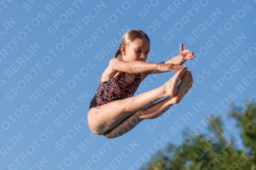 2017 - 8. Sofia Diving Cup 2017 - 8. Sofia Diving Cup 03012_14532.jpg