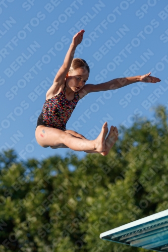 2017 - 8. Sofia Diving Cup 2017 - 8. Sofia Diving Cup 03012_14534.jpg