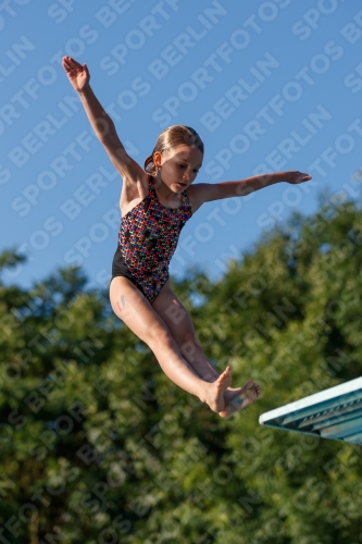 2017 - 8. Sofia Diving Cup 2017 - 8. Sofia Diving Cup 03012_14535.jpg