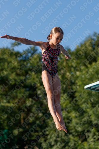2017 - 8. Sofia Diving Cup 2017 - 8. Sofia Diving Cup 03012_14536.jpg