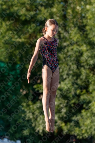 2017 - 8. Sofia Diving Cup 2017 - 8. Sofia Diving Cup 03012_14538.jpg
