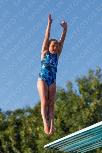 2017 - 8. Sofia Diving Cup 2017 - 8. Sofia Diving Cup 03012_14552.jpg