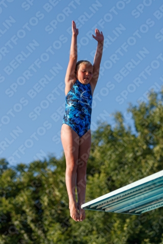 2017 - 8. Sofia Diving Cup 2017 - 8. Sofia Diving Cup 03012_14554.jpg