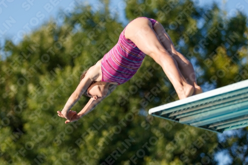 2017 - 8. Sofia Diving Cup 2017 - 8. Sofia Diving Cup 03012_14571.jpg