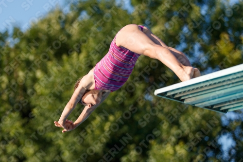 2017 - 8. Sofia Diving Cup 2017 - 8. Sofia Diving Cup 03012_14572.jpg