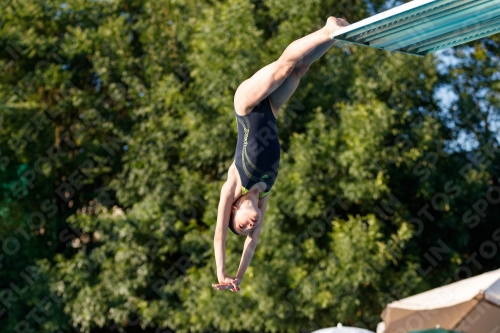2017 - 8. Sofia Diving Cup 2017 - 8. Sofia Diving Cup 03012_14597.jpg