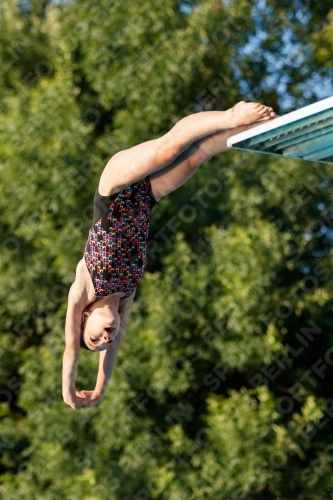 2017 - 8. Sofia Diving Cup 2017 - 8. Sofia Diving Cup 03012_14622.jpg