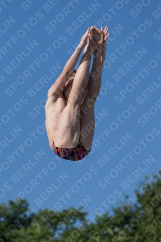 2017 - 8. Sofia Diving Cup 2017 - 8. Sofia Diving Cup 03012_14635.jpg
