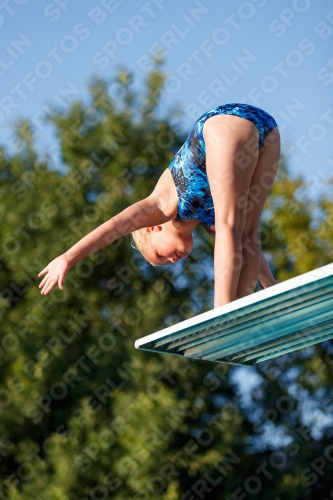 2017 - 8. Sofia Diving Cup 2017 - 8. Sofia Diving Cup 03012_14639.jpg