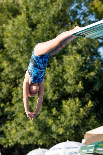 2017 - 8. Sofia Diving Cup 2017 - 8. Sofia Diving Cup 03012_14641.jpg