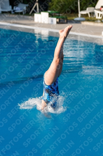 2017 - 8. Sofia Diving Cup 2017 - 8. Sofia Diving Cup 03012_14646.jpg