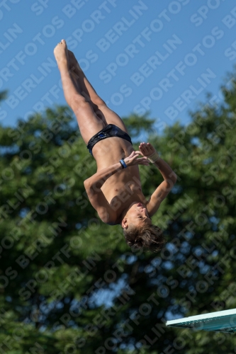 2017 - 8. Sofia Diving Cup 2017 - 8. Sofia Diving Cup 03012_14667.jpg