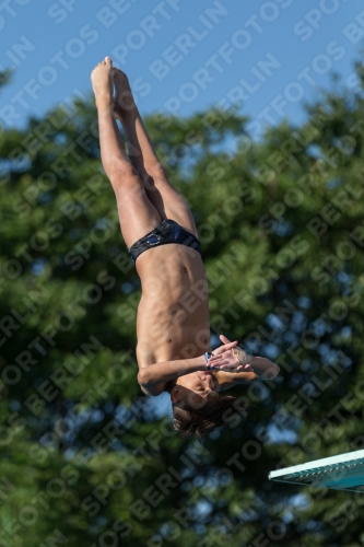 2017 - 8. Sofia Diving Cup 2017 - 8. Sofia Diving Cup 03012_14668.jpg