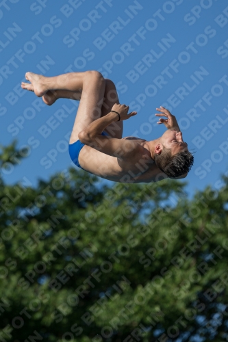 2017 - 8. Sofia Diving Cup 2017 - 8. Sofia Diving Cup 03012_14673.jpg