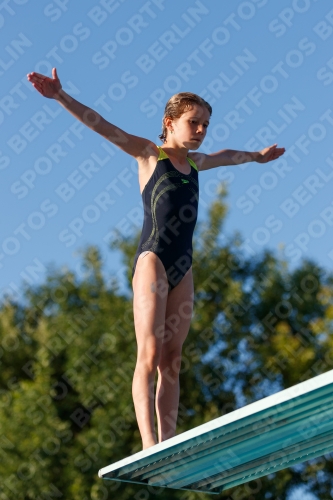 2017 - 8. Sofia Diving Cup 2017 - 8. Sofia Diving Cup 03012_14676.jpg