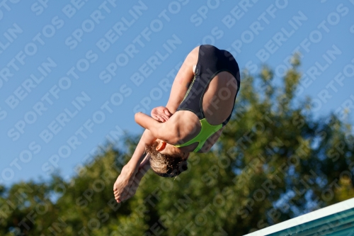 2017 - 8. Sofia Diving Cup 2017 - 8. Sofia Diving Cup 03012_14677.jpg