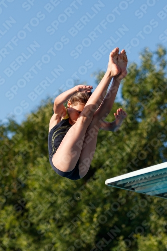 2017 - 8. Sofia Diving Cup 2017 - 8. Sofia Diving Cup 03012_14679.jpg