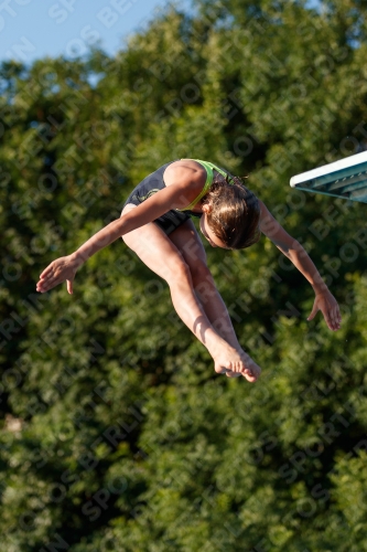 2017 - 8. Sofia Diving Cup 2017 - 8. Sofia Diving Cup 03012_14681.jpg