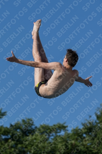 2017 - 8. Sofia Diving Cup 2017 - 8. Sofia Diving Cup 03012_14689.jpg