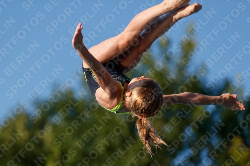 2017 - 8. Sofia Diving Cup 2017 - 8. Sofia Diving Cup 03012_14694.jpg