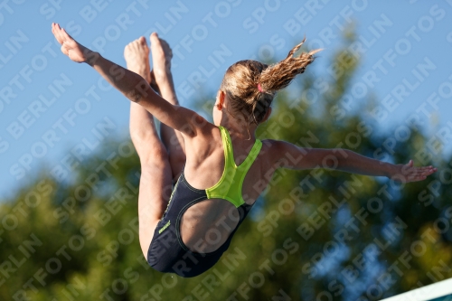 2017 - 8. Sofia Diving Cup 2017 - 8. Sofia Diving Cup 03012_14695.jpg