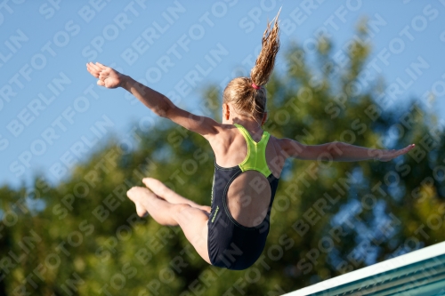 2017 - 8. Sofia Diving Cup 2017 - 8. Sofia Diving Cup 03012_14696.jpg