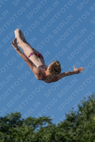2017 - 8. Sofia Diving Cup 2017 - 8. Sofia Diving Cup 03012_14701.jpg