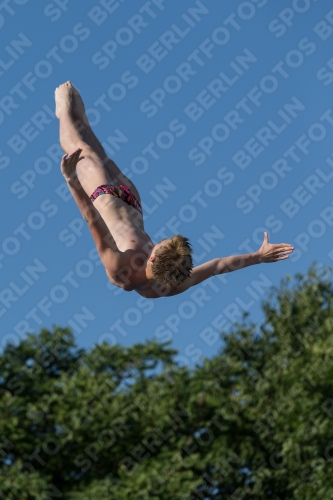 2017 - 8. Sofia Diving Cup 2017 - 8. Sofia Diving Cup 03012_14702.jpg