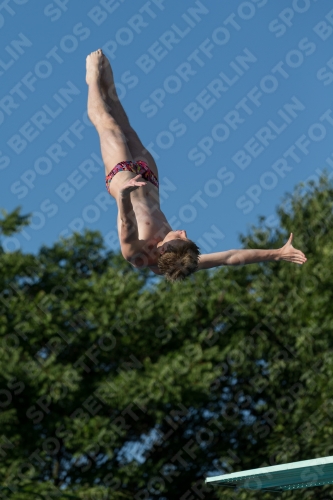2017 - 8. Sofia Diving Cup 2017 - 8. Sofia Diving Cup 03012_14703.jpg