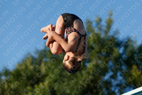 2017 - 8. Sofia Diving Cup 2017 - 8. Sofia Diving Cup 03012_14709.jpg
