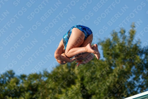 2017 - 8. Sofia Diving Cup 2017 - 8. Sofia Diving Cup 03012_14718.jpg
