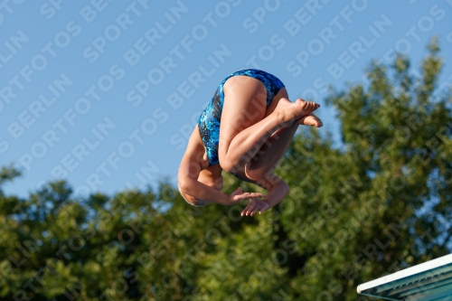 2017 - 8. Sofia Diving Cup 2017 - 8. Sofia Diving Cup 03012_14719.jpg