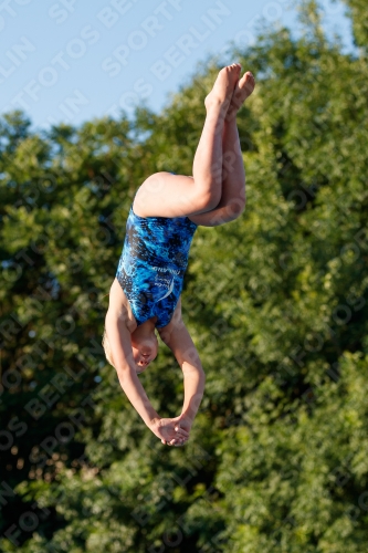 2017 - 8. Sofia Diving Cup 2017 - 8. Sofia Diving Cup 03012_14722.jpg