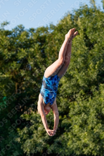 2017 - 8. Sofia Diving Cup 2017 - 8. Sofia Diving Cup 03012_14723.jpg