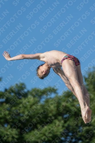 2017 - 8. Sofia Diving Cup 2017 - 8. Sofia Diving Cup 03012_14756.jpg