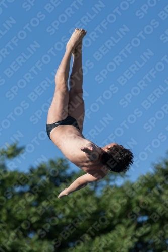 2017 - 8. Sofia Diving Cup 2017 - 8. Sofia Diving Cup 03012_14767.jpg