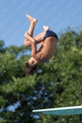 2017 - 8. Sofia Diving Cup 2017 - 8. Sofia Diving Cup 03012_14801.jpg