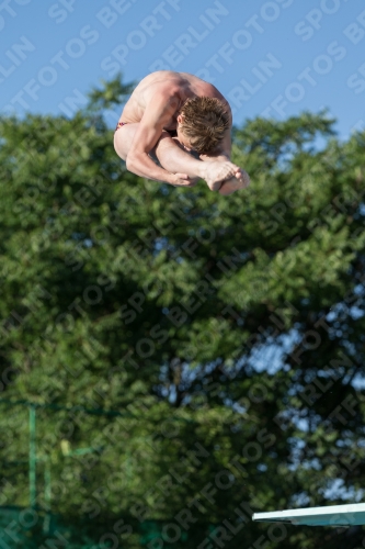 2017 - 8. Sofia Diving Cup 2017 - 8. Sofia Diving Cup 03012_14820.jpg