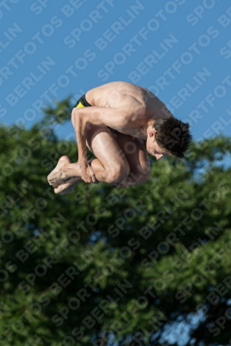 2017 - 8. Sofia Diving Cup 2017 - 8. Sofia Diving Cup 03012_14829.jpg