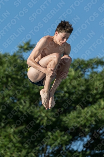 2017 - 8. Sofia Diving Cup 2017 - 8. Sofia Diving Cup 03012_14830.jpg