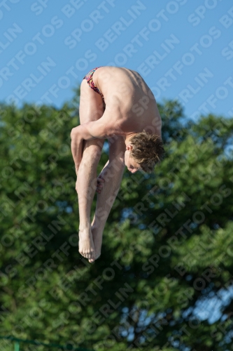 2017 - 8. Sofia Diving Cup 2017 - 8. Sofia Diving Cup 03012_14835.jpg