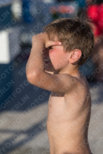 2017 - 8. Sofia Diving Cup 2017 - 8. Sofia Diving Cup 03012_14846.jpg