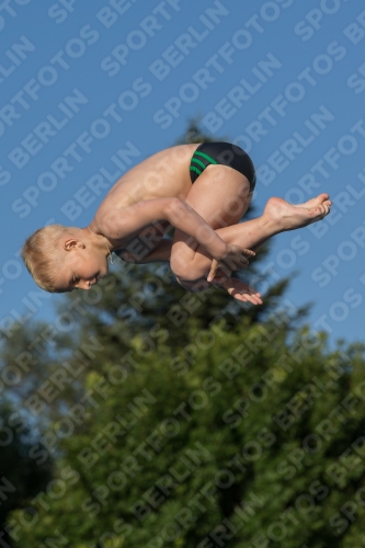 2017 - 8. Sofia Diving Cup 2017 - 8. Sofia Diving Cup 03012_14882.jpg