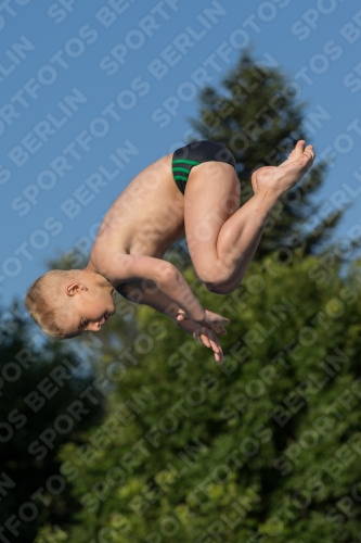 2017 - 8. Sofia Diving Cup 2017 - 8. Sofia Diving Cup 03012_14883.jpg