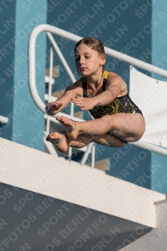 2017 - 8. Sofia Diving Cup 2017 - 8. Sofia Diving Cup 03012_14907.jpg