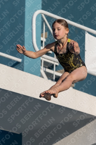 2017 - 8. Sofia Diving Cup 2017 - 8. Sofia Diving Cup 03012_14908.jpg