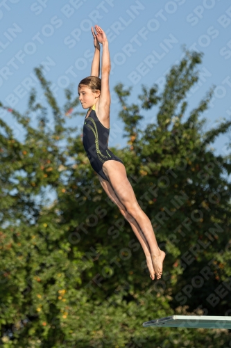 2017 - 8. Sofia Diving Cup 2017 - 8. Sofia Diving Cup 03012_14920.jpg