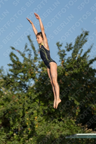 2017 - 8. Sofia Diving Cup 2017 - 8. Sofia Diving Cup 03012_14921.jpg