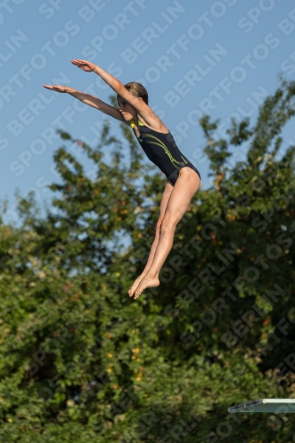 2017 - 8. Sofia Diving Cup 2017 - 8. Sofia Diving Cup 03012_14922.jpg