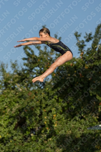 2017 - 8. Sofia Diving Cup 2017 - 8. Sofia Diving Cup 03012_14923.jpg